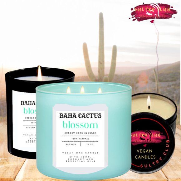 Baha Cactus Blossom 7.5 Ounce Candle - Picture 2 of 6